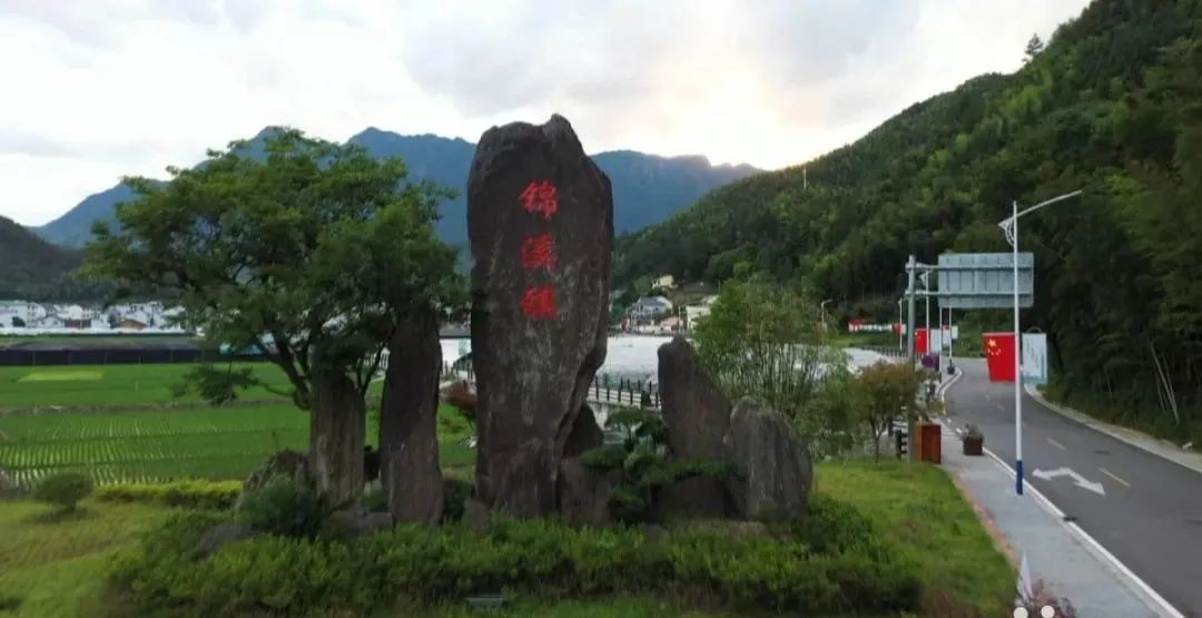 顾冻兴:小奶牛托起“共富梦”