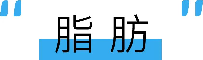 町芒评测 | 大块吃肉还能不鸽教练,全凭这口“海底鸡”