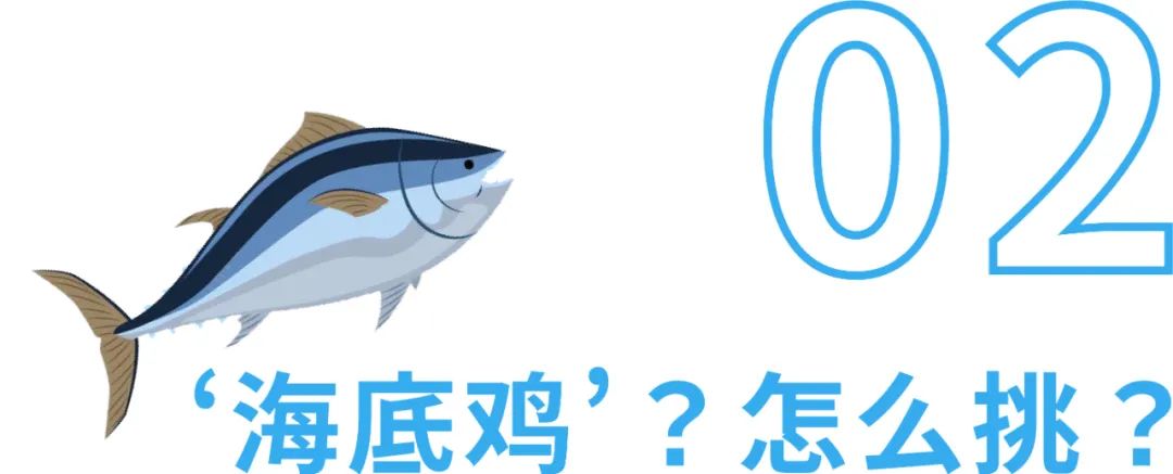 町芒评测 | 大块吃肉还能不鸽教练,全凭这口“海底鸡”