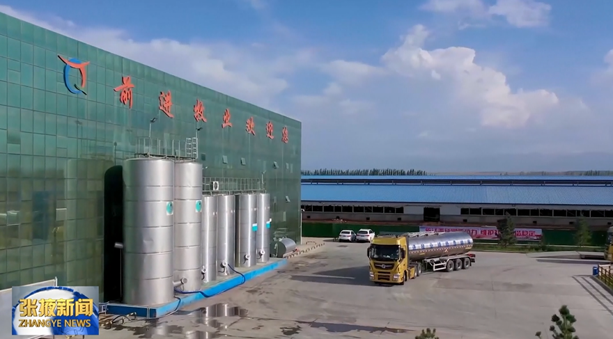 前进牧业马志祥:发挥龙头作用,进军百亿企业
