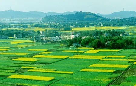 除了茅台镇,你还知道哪些名酒古村镇?