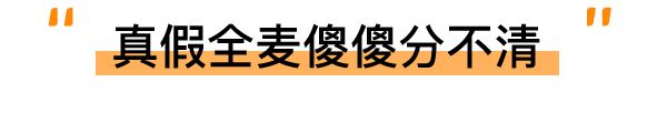 町芒评测 | 全麦面包真减肥还是智商税?深扒13款给你答案