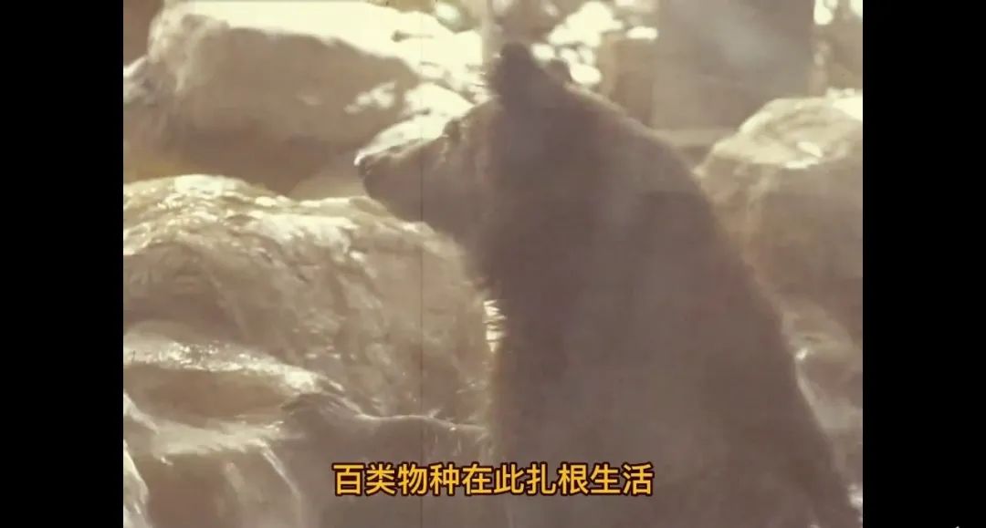 案例:KEEP联手拳皇带你秒回童年,可口可乐通过游戏推广品牌