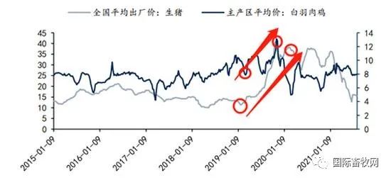 鸡苗、鸡蛋双双涨价,家禽复苏前夜来临?