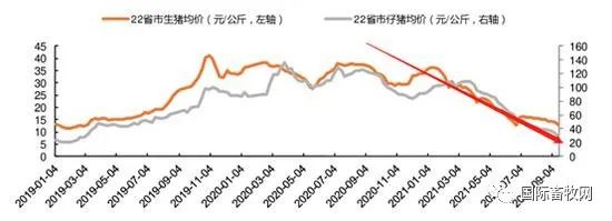 鸡苗、鸡蛋双双涨价,家禽复苏前夜来临?
