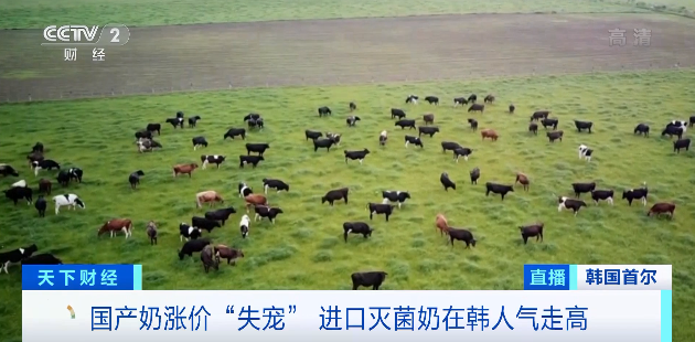 灭菌奶进口量增加近9倍!韩国国产奶“失宠”!