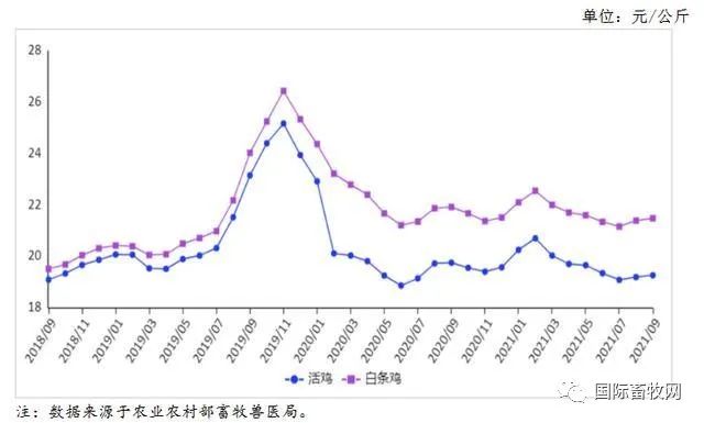 全国10月禽肉市场供需及价格分析:禽肉价格低位上涨!