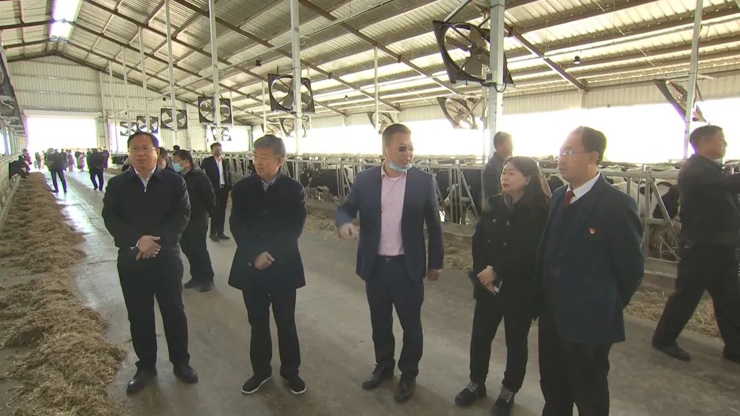 科右前旗发布新建中小型奶牛牧场相关扶持政策