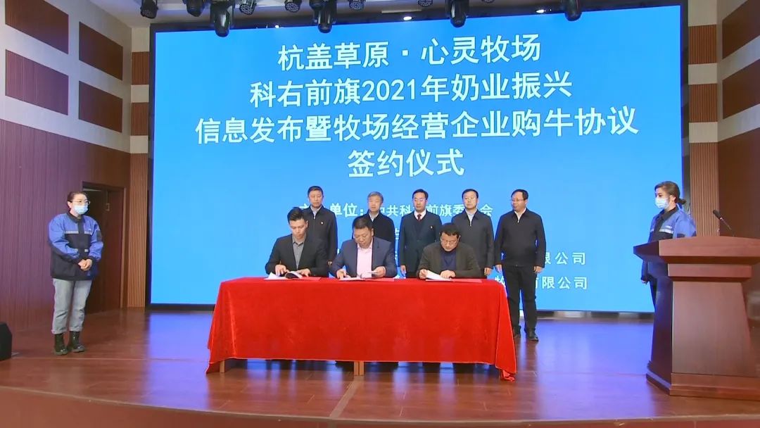 科右前旗发布新建中小型奶牛牧场相关扶持政策