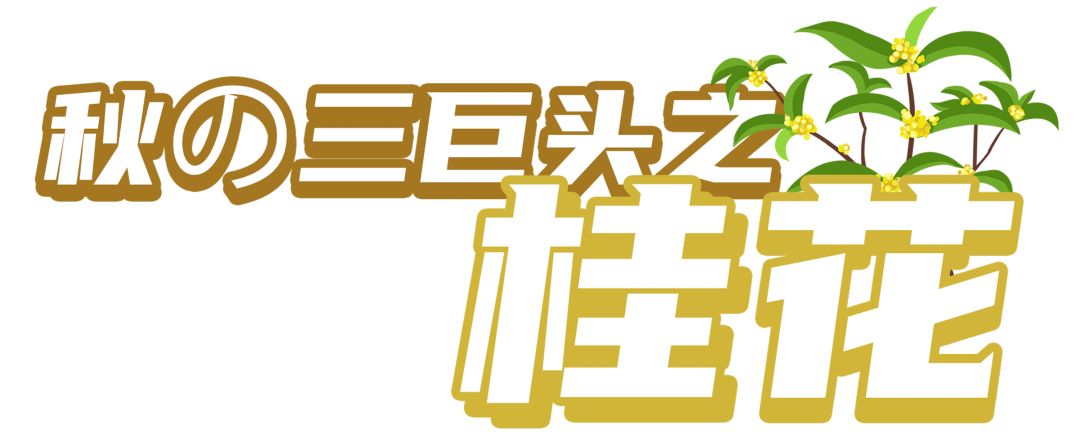 喝完秋天限定饮品,我体验到了拥有暖男的快乐