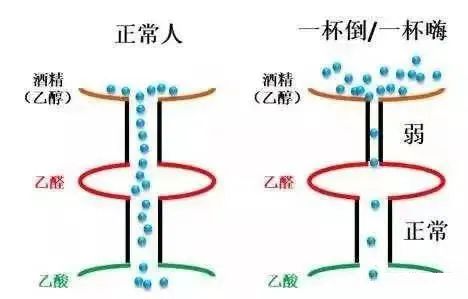 酒后三种脸：脸红、脸白、脸青，到底哪种更伤肝？