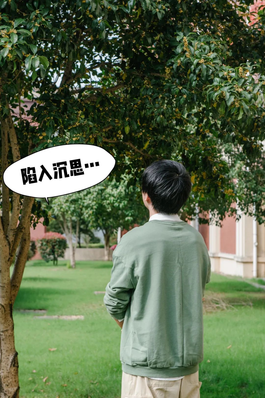 当朱主任，盯上了小镇的桂花……