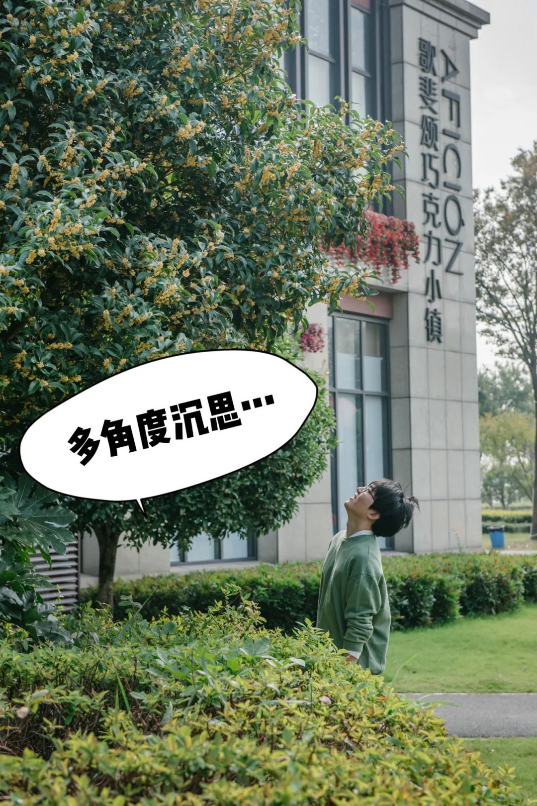 当朱主任，盯上了小镇的桂花……