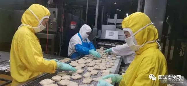 青岛九联“肉食鸡” 出口量居全国第一!