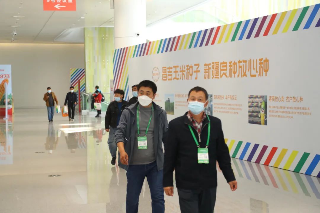 贾枭:昌吉以“品牌化”推进种业振兴