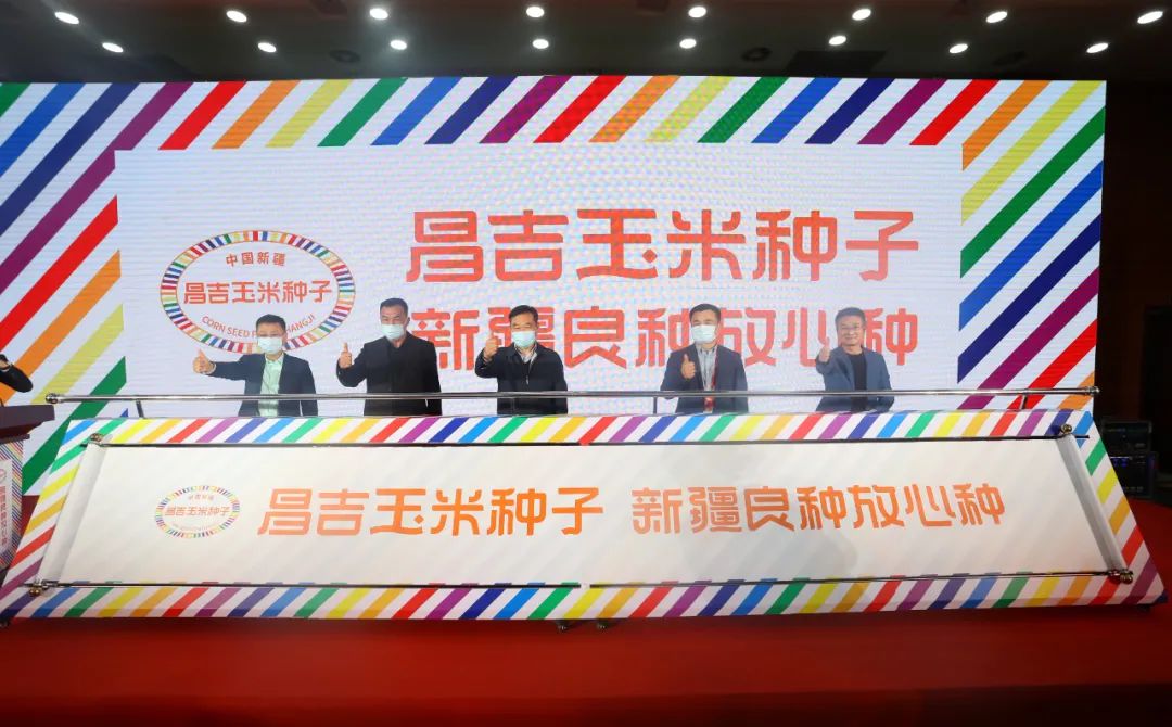 贾枭:昌吉以“品牌化”推进种业振兴