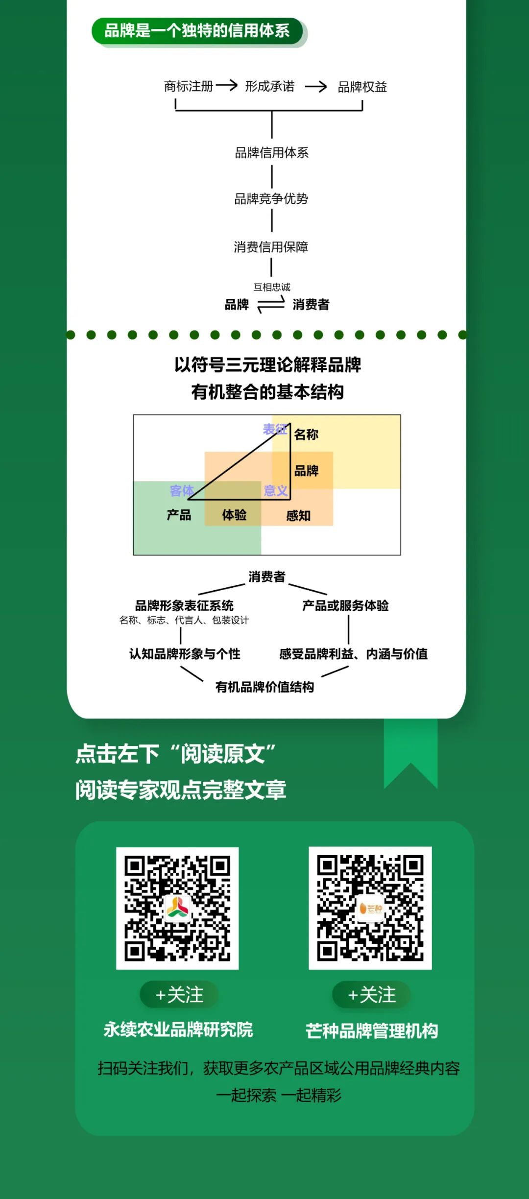 胡晓云:品牌是一个独具价值的有机整合体