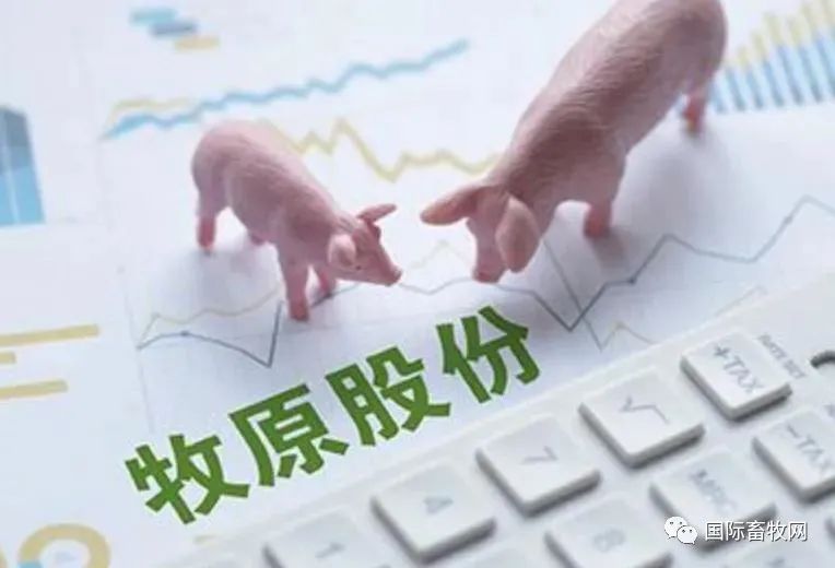 牧原股份:生猪价格快速上涨超预期