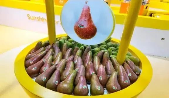 第四届进博会开幕！多款产品首发首秀