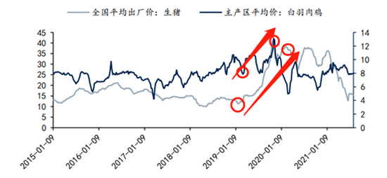 从鸡肉养殖巨头圣农发展看肉鸡产业!