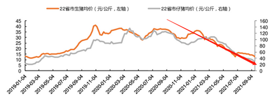 从鸡肉养殖巨头圣农发展看肉鸡产业!