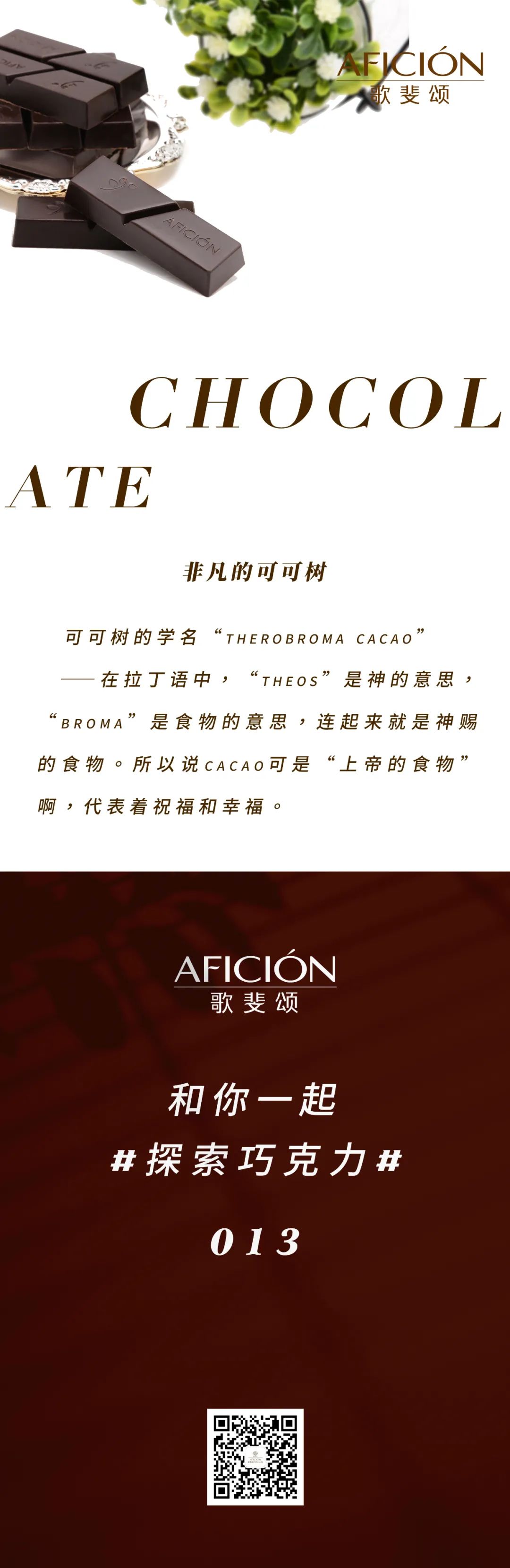 非凡的可可树
