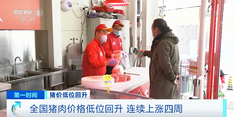 猪肉价格涨近30%!还会继续涨吗?农业农村部释放重要信号