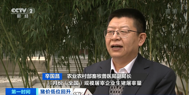 猪肉价格涨近30%!还会继续涨吗?农业农村部释放重要信号