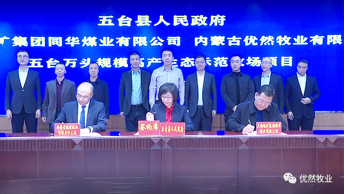 优然牧业投资11.6亿在这个地方建立牧场！