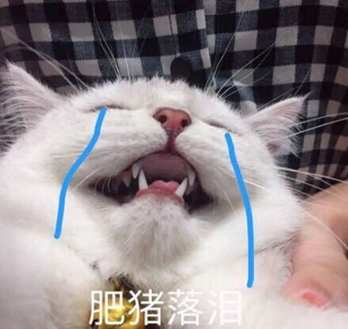 町芒评测 | 评测了20款脆枣,猜猜我的牙被崩掉了几颗?