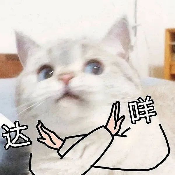 町芒评测 | 评测了20款脆枣,猜猜我的牙被崩掉了几颗?