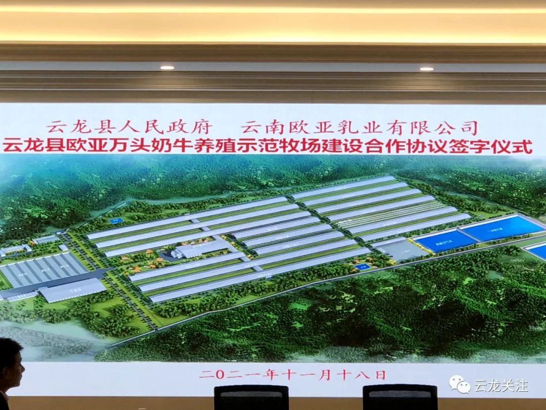 云南云龙县与欧亚乳业举行万头奶牛示范牧场项目签约仪式