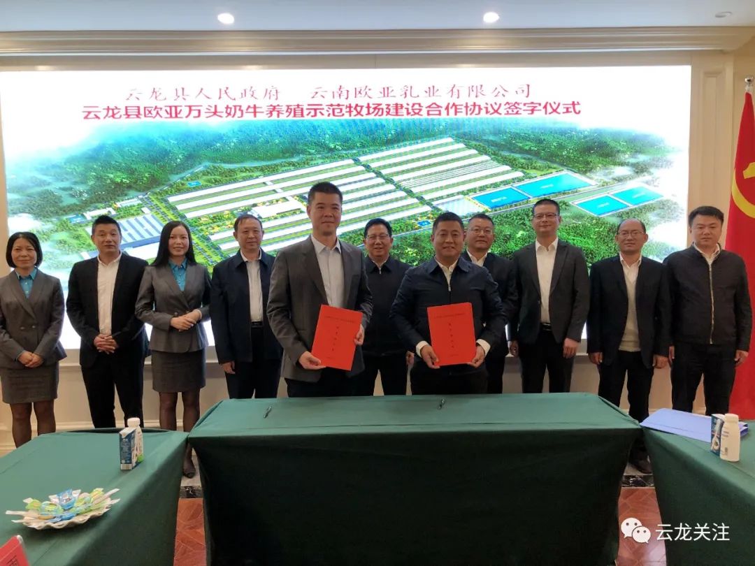云南云龙县与欧亚乳业举行万头奶牛示范牧场项目签约仪式