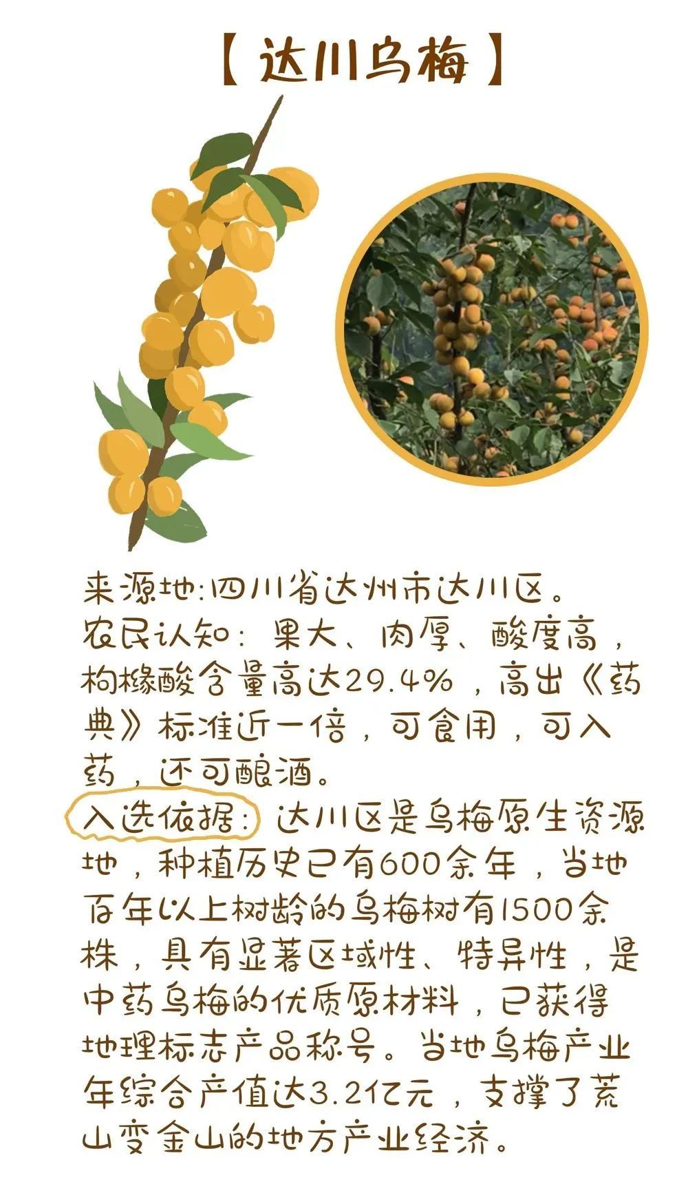 农业农村部最新发布!十大优异农作物种质资源