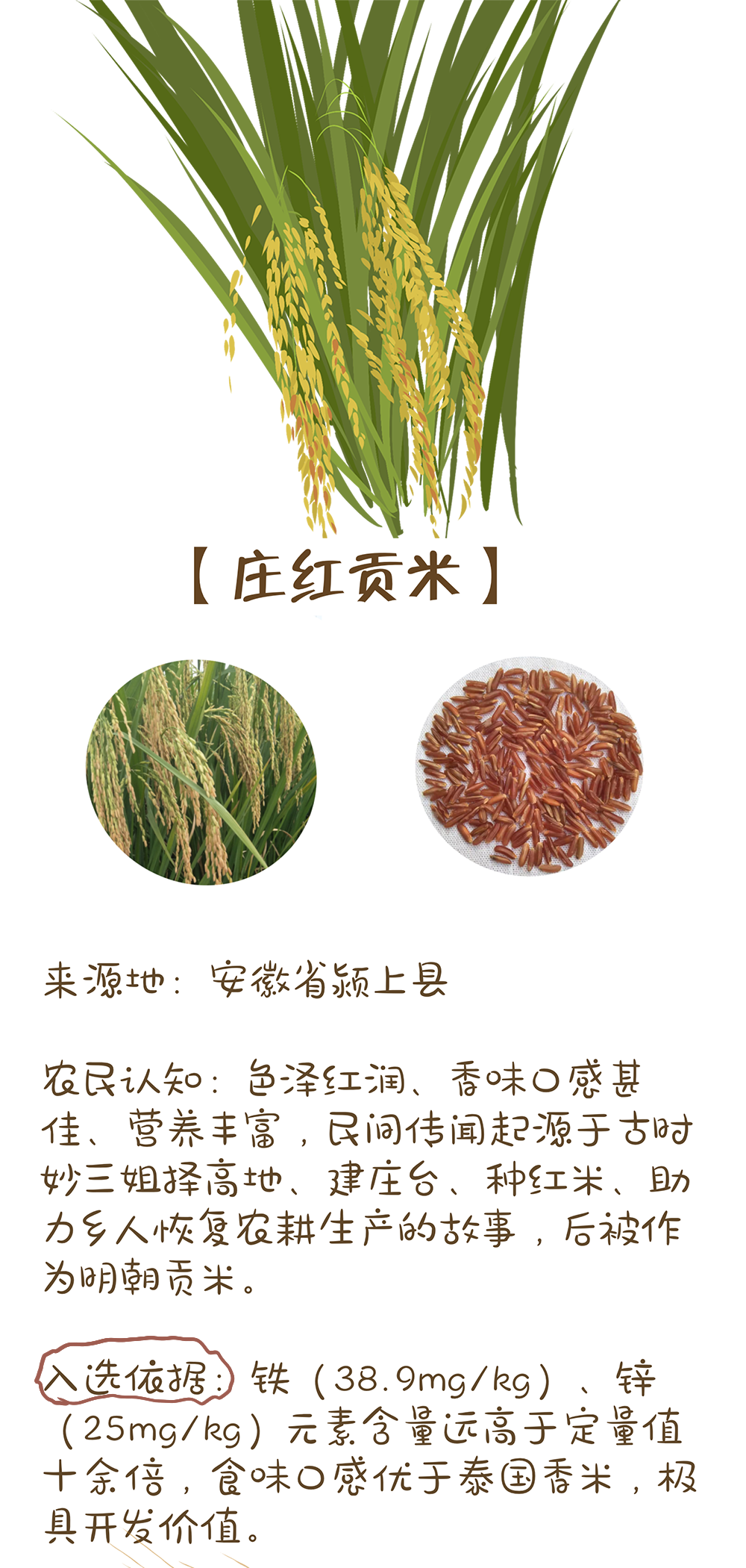 农业农村部最新发布!十大优异农作物种质资源