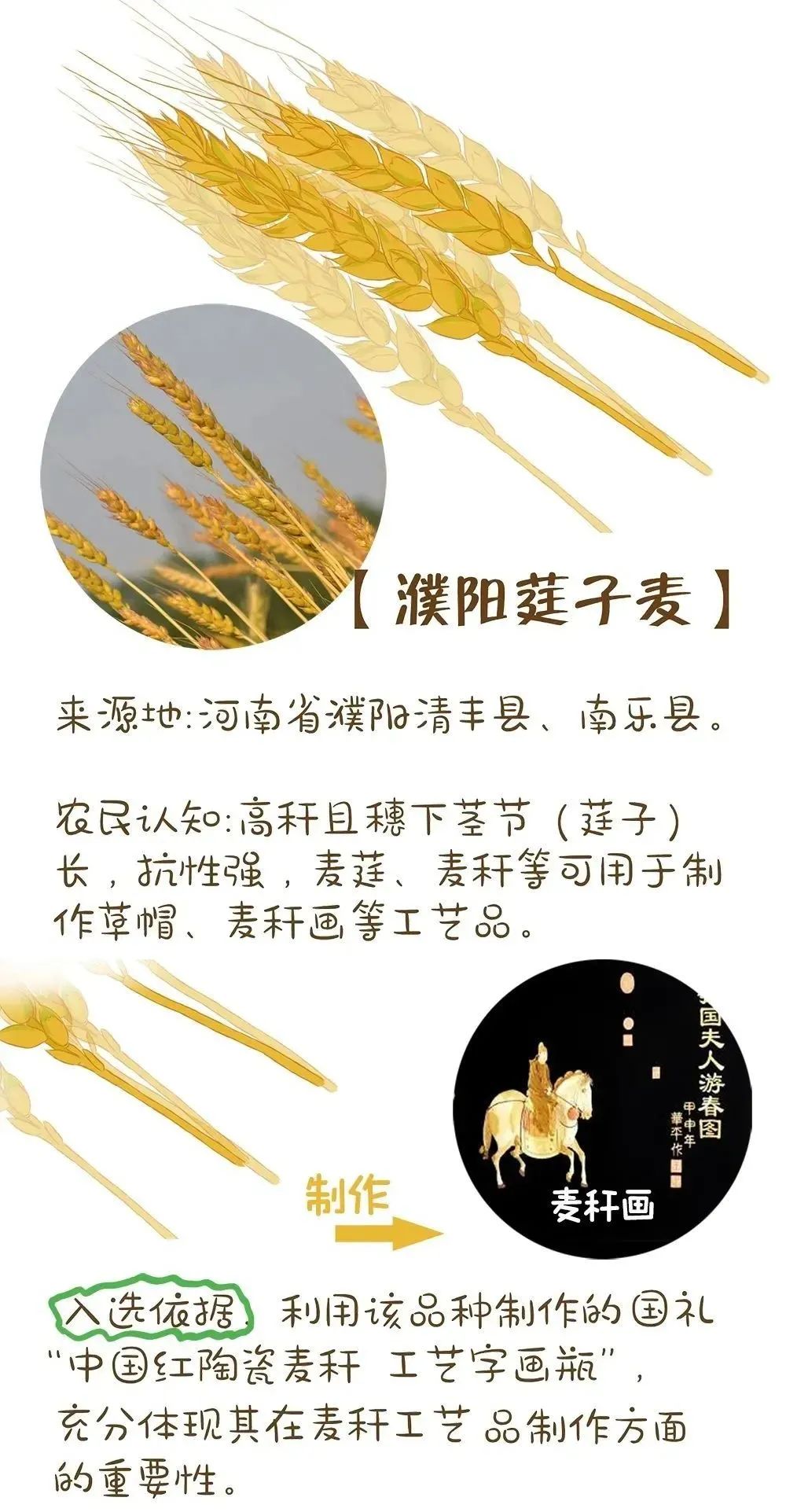 农业农村部最新发布!十大优异农作物种质资源