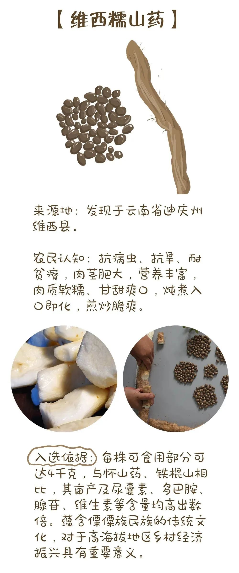 农业农村部最新发布!十大优异农作物种质资源
