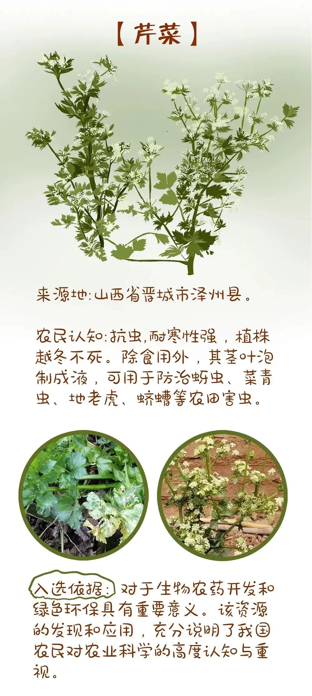 农业农村部最新发布!十大优异农作物种质资源