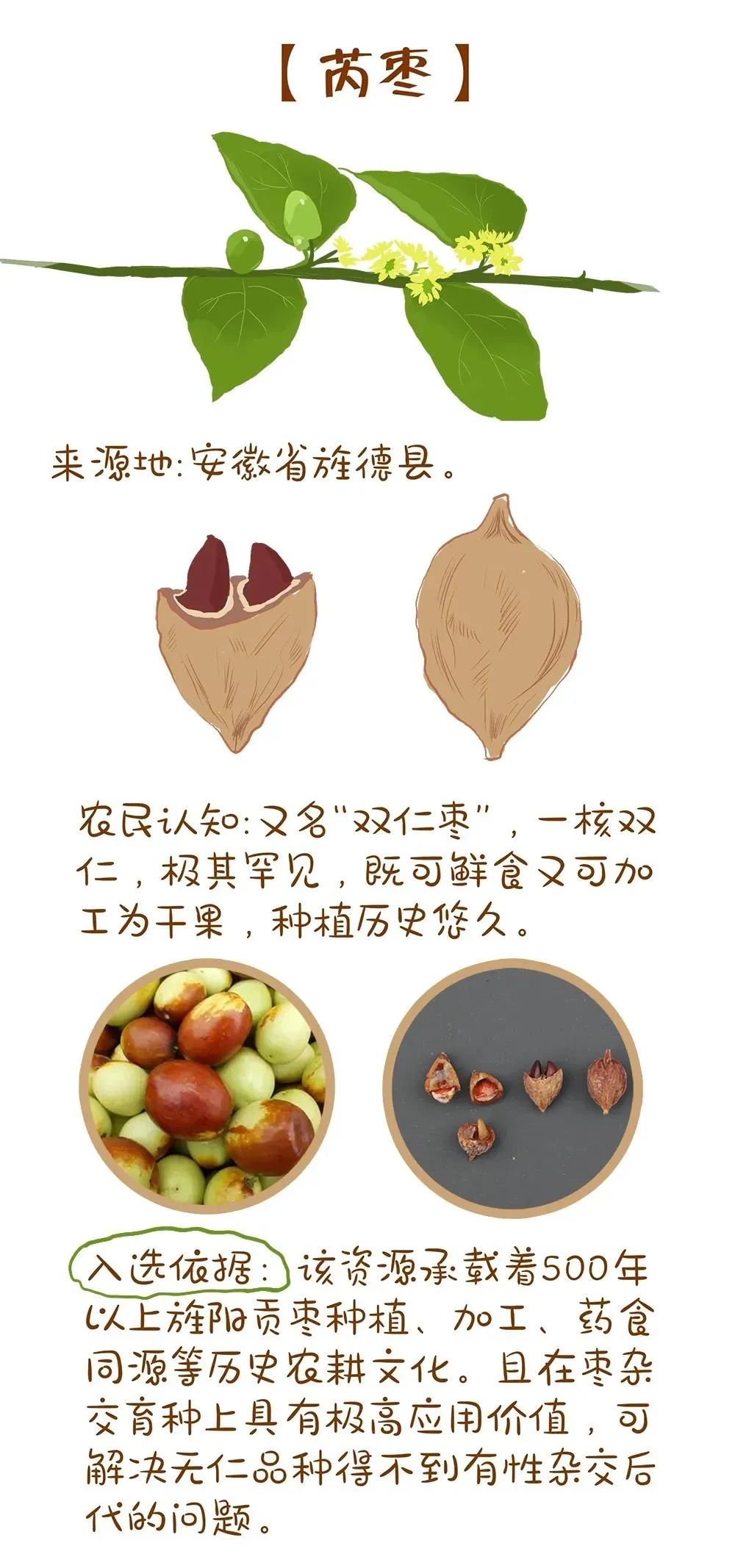 农业农村部最新发布!十大优异农作物种质资源