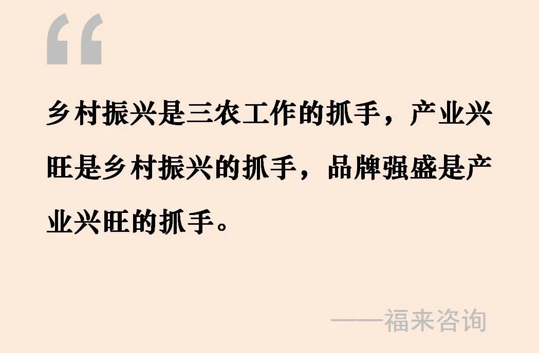 刘焕鑫：以品牌意识推进乡村振兴
