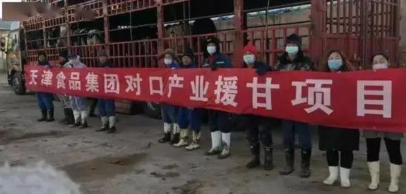 5000头奶牛进驻这家牧场!