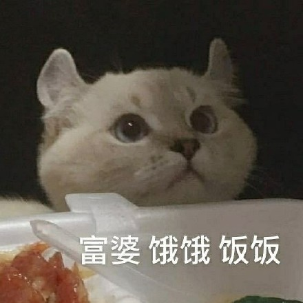 町芒评测 | 双十二终极省钱指南