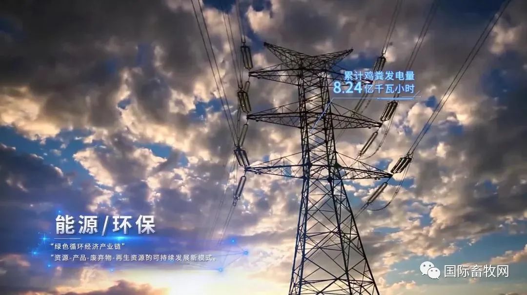 傅光明:养鸡也需要工匠精神