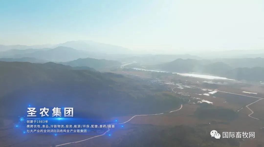 傅光明:养鸡也需要工匠精神