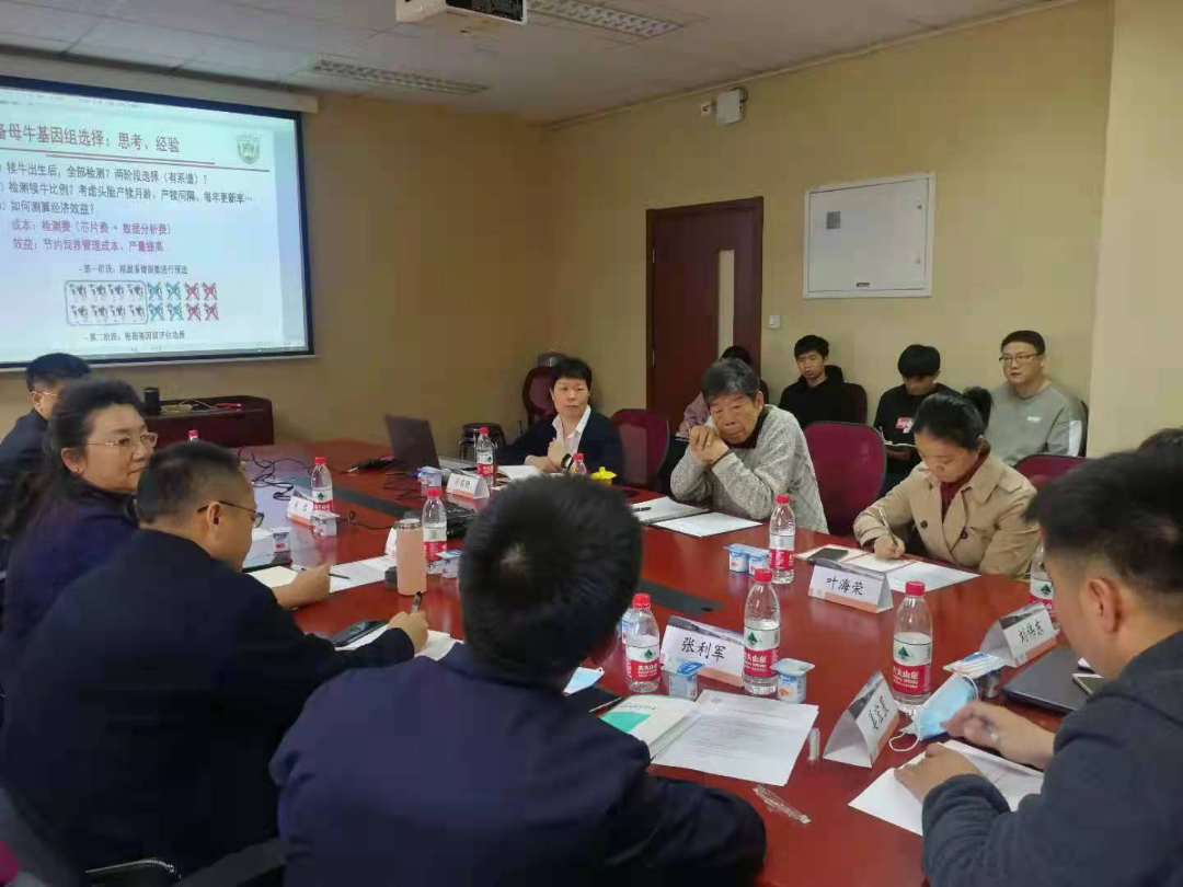 冲击十三吨!黑龙江农垦长鑫牧场胚胎移植工作迈向新台阶