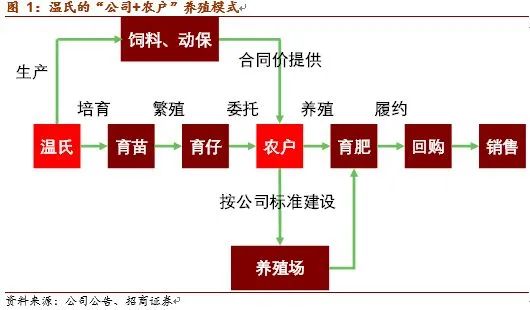 牧原、温氏、新希望、正邦…“猪王”又回来了!