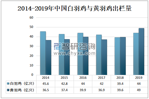 一年吃掉70亿只鸡的中国人,终于不再被国外卡脖子