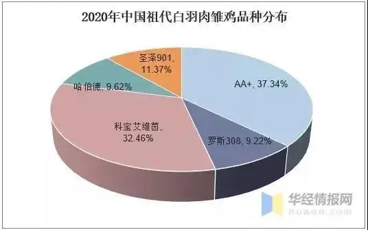 一年吃掉70亿只鸡的中国人,终于不再被国外卡脖子