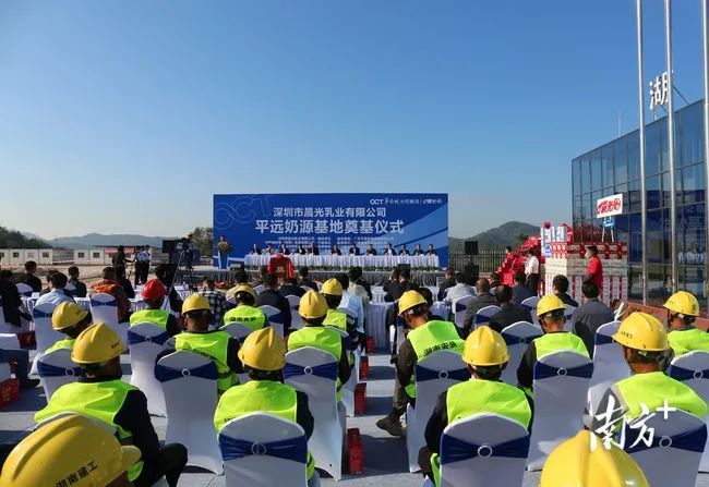 总投资逾1亿元!晨光乳业平远奶源基地开工