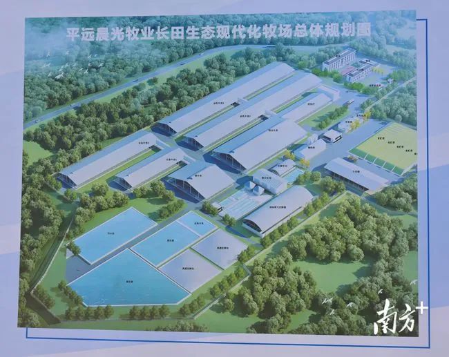 总投资逾1亿元!晨光乳业平远奶源基地开工